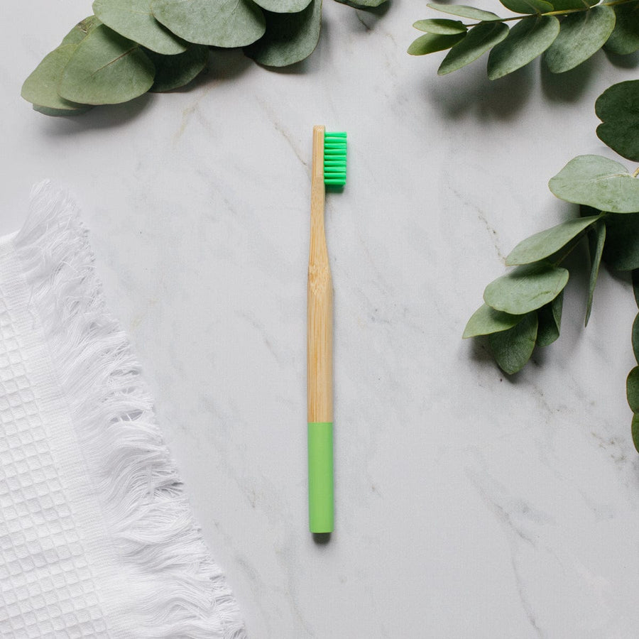 Toothbrush with coloured handle