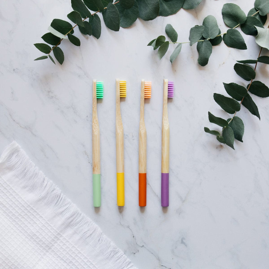 Set of 4 toothbrushes with coloured handle