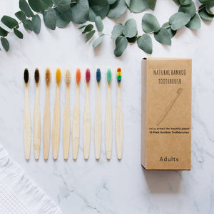 Set mit 10 Zahnbürsten für Erwachsene – 10 Farben erhältlich